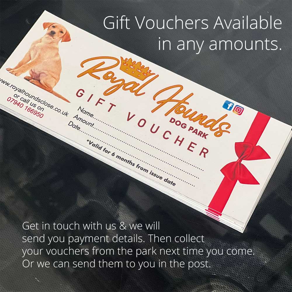 Gift Vouchers available - Royal Hounds Dog Park